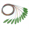 FBR-PT-SM-SC-APC-12CORE-1M SC/APC SM 9/125 PİGTAİL 1 METRE - 12 Core