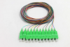FBR-PT-SM-SC-APC-12CORE-1M SC/APC SM 9/125 PİGTAİL 1 METRE - 12 Core