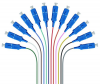FBR-PT-SM-SC-UPC-12CORE-1M SC/UPC SM 9/125 PİGTAİL 1 METRE - 12 Core