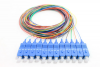 FBR-PT-SM-SC-UPC-12CORE-1M SC/UPC SM 9/125 PİGTAİL 1 METRE - 12 Core